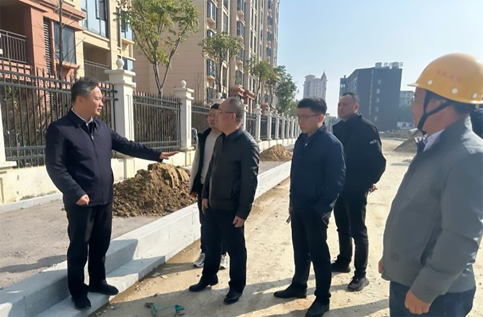 青山湖區(qū)黨委副書(shū)記、區(qū)長(zhǎng)楊育星到利民路項(xiàng)目調(diào)研
