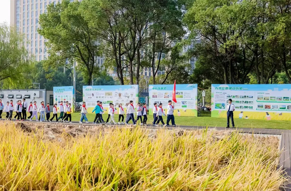 九洲公園舉辦“南昌城里有點田”秋收體驗活動 青少年體驗農(nóng)耕文化
